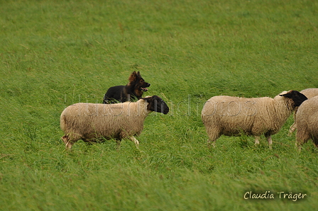 AAH Bundeshüten 2017 / Bild 88 von 352 / 09.09.2017 14:22 / DSC_1514.JPG