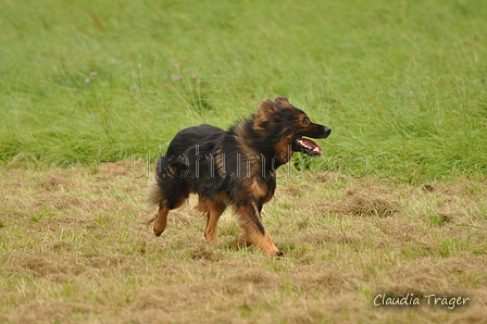 AAH Bundeshüten 2017 / Bild 89 von 352 / 09.09.2017 14:22 / DSC_1516.JPG