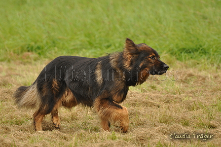 AAH Bundeshüten 2017 / Bild 91 von 352 / 09.09.2017 14:23 / DSC_1525.JPG