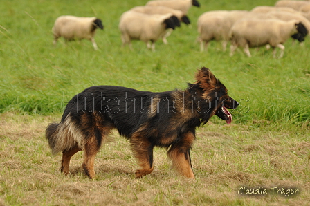 AAH Bundeshüten 2017 / Bild 92 von 352 / 09.09.2017 14:23 / DSC_1528.JPG