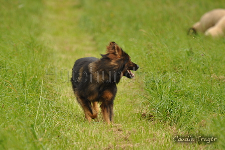 AAH Bundeshüten 2017 / Bild 96 von 352 / 09.09.2017 14:25 / DSC_1548.JPG