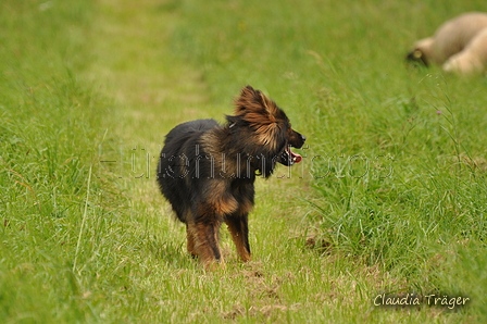 AAH Bundeshüten 2017 / Bild 97 von 352 / 09.09.2017 14:25 / DSC_1549.JPG