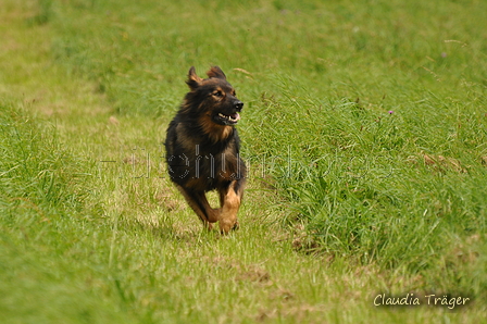 AAH Bundeshüten 2017 / Bild 102 von 352 / 09.09.2017 14:27 / DSC_1563.JPG