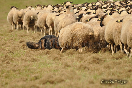 AAH Bundeshüten 2017 / Bild 111 von 352 / 09.09.2017 14:33 / DSC_1649.JPG