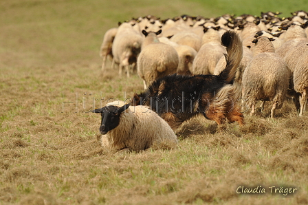 AAH Bundeshüten 2017 / Bild 116 von 352 / 09.09.2017 14:33 / DSC_1654.JPG