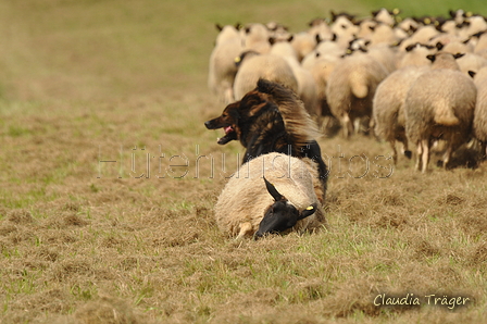 AAH Bundeshüten 2017 / Bild 117 von 352 / 09.09.2017 14:33 / DSC_1655.JPG