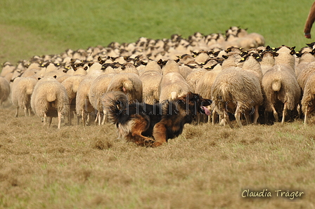 AAH Bundeshüten 2017 / Bild 119 von 352 / 09.09.2017 14:34 / DSC_1662.JPG