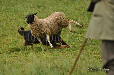 AAH Bundeshüten 2017 / Bild 126 von 352 / 09.09.2017 14:53 / DSC_1792.JPG