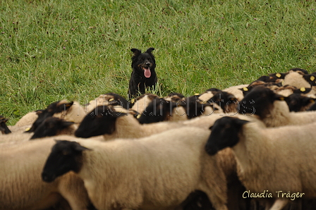 AAH Bundeshüten 2017 / Bild 128 von 352 / 09.09.2017 14:53 / DSC_1806.JPG