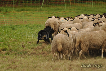 AAH Bundeshüten 2017 / Bild 132 von 352 / 09.09.2017 14:58 / DSC_1887.JPG