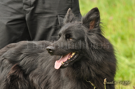 AAH Bundeshüten 2017 / Bild 143 von 352 / 09.09.2017 15:14 / DSC_2097.JPG