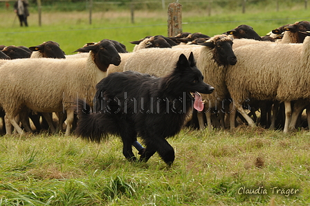 AAH Bundeshüten 2017 / Bild 148 von 352 / 09.09.2017 15:34 / DSC_2232.JPG