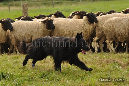 AAH Bundeshüten 2017 / Bild 149 von 352 / 09.09.2017 15:34 / DSC_2233.JPG