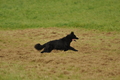 AAH Bundeshüten 2017 / Bild 151 von 352 / 09.09.2017 15:39 / DSC_2285.JPG