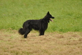 AAH Bundeshüten 2017 / Bild 152 von 352 / 09.09.2017 15:40 / DSC_2292.JPG