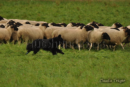 AAH Bundeshüten 2017 / Bild 153 von 352 / 09.09.2017 16:01 / DSC_2373.JPG