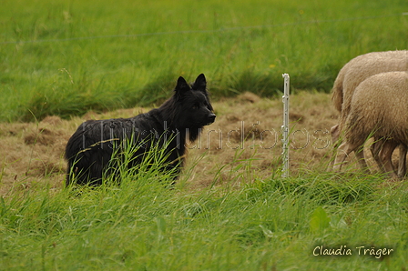 AAH Bundeshüten 2017 / Bild 157 von 352 / 09.09.2017 16:04 / DSC_2427.JPG