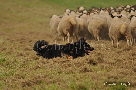 AAH Bundeshüten 2017 / Bild 159 von 352 / 09.09.2017 16:06 / DSC_2475.JPG