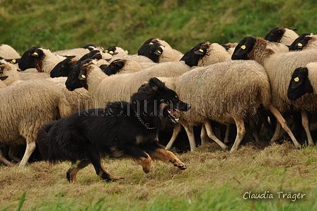 AAH Bundeshüten 2017 / Bild 164 von 352 / 09.09.2017 16:33 / DSC_2721.JPG