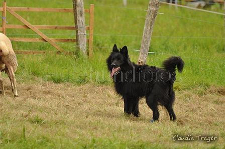 AAH Bundeshüten 2017 / Bild 168 von 352 / 09.09.2017 16:38 / DSC_2836.JPG