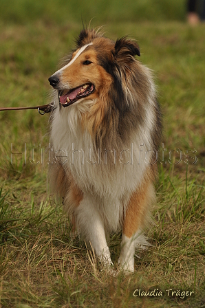 AAH Bundeshüten 2017 / Bild 172 von 352 / 09.09.2017 16:46 / DSC_2944.JPG