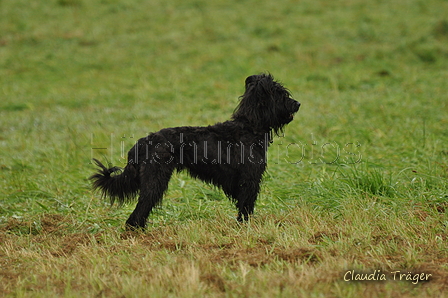 AAH Bundeshüten 2017 / Bild 179 von 352 / 10.09.2017 08:56 / DSC_3161.JPG