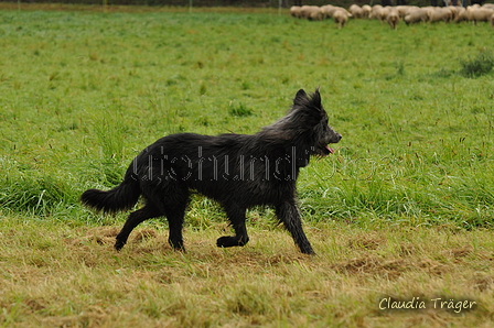 AAH Bundeshüten 2017 / Bild 183 von 352 / 10.09.2017 09:05 / DSC_3242.JPG