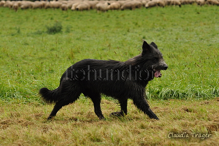 AAH Bundeshüten 2017 / Bild 184 von 352 / 10.09.2017 09:05 / DSC_3245.JPG