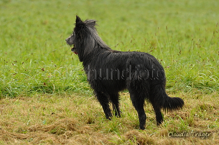 AAH Bundeshüten 2017 / Bild 187 von 352 / 10.09.2017 09:07 / DSC_3276.JPG