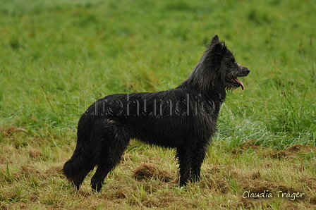 AAH Bundeshüten 2017 / Bild 188 von 352 / 10.09.2017 09:09 / DSC_3310.JPG