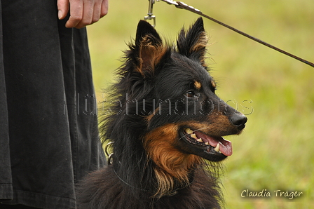 AAH Bundeshüten 2017 / Bild 195 von 352 / 10.09.2017 09:21 / DSC_3445.JPG