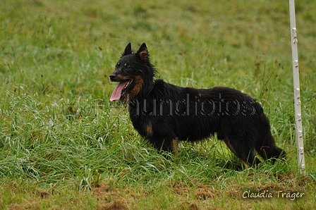 AAH Bundeshüten 2017 / Bild 204 von 352 / 10.09.2017 09:55 / DSC_3640.JPG