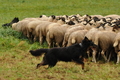 AAH Bundeshüten 2017 / Bild 206 von 352 / 10.09.2017 09:55 / DSC_3650.JPG