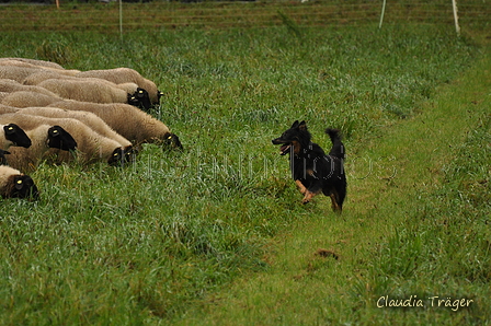 AAH Bundeshüten 2017 / Bild 207 von 352 / 10.09.2017 09:58 / DSC_3666.JPG