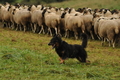 AAH Bundeshüten 2017 / Bild 211 von 352 / 10.09.2017 10:08 / DSC_3805.JPG