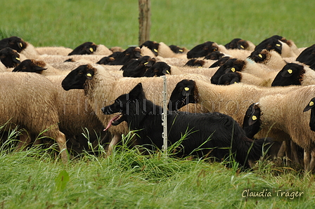 AAH Bundeshüten 2017 / Bild 213 von 352 / 10.09.2017 10:12 / DSC_3841.JPG