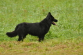 AAH Bundeshüten 2017 / Bild 215 von 352 / 10.09.2017 10:13 / DSC_3855.JPG