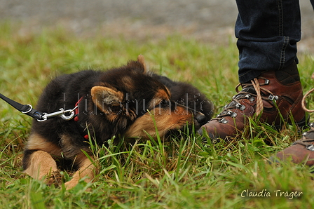 AAH Bundeshüten 2017 / Bild 217 von 352 / 10.09.2017 10:22 / DSC_3914.JPG