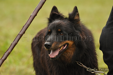 AAH Bundeshüten 2017 / Bild 223 von 352 / 10.09.2017 10:32 / DSC_3980.JPG