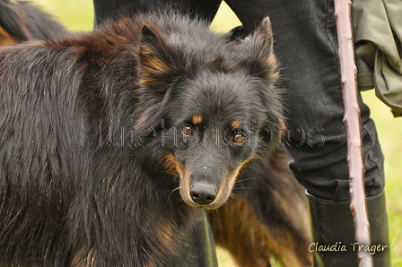 AAH Bundeshüten 2017 / Bild 229 von 352 / 10.09.2017 10:34 / DSC_4025.JPG