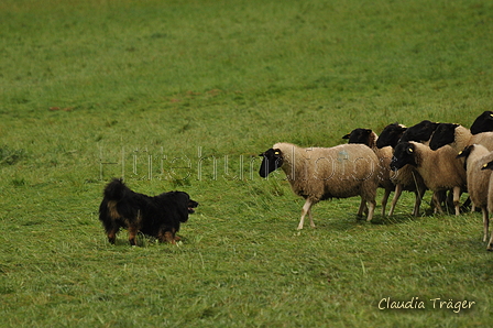 AAH Bundeshüten 2017 / Bild 235 von 352 / 10.09.2017 10:46 / DSC_4122.JPG