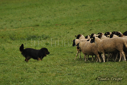 AAH Bundeshüten 2017 / Bild 236 von 352 / 10.09.2017 10:47 / DSC_4125.JPG