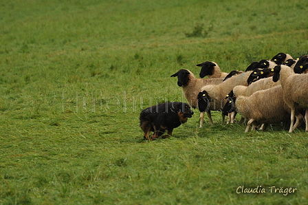 AAH Bundeshüten 2017 / Bild 237 von 352 / 10.09.2017 10:47 / DSC_4126.JPG