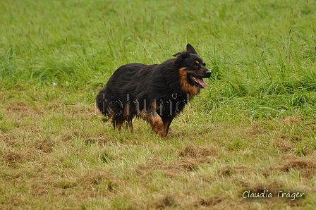 AAH Bundeshüten 2017 / Bild 242 von 352 / 10.09.2017 10:52 / DSC_4151.JPG