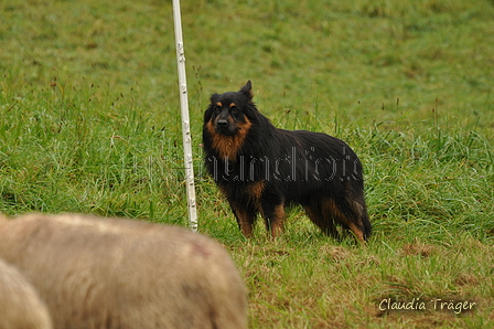 AAH Bundeshüten 2017 / Bild 246 von 352 / 10.09.2017 11:07 / DSC_4303.JPG