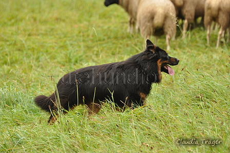 AAH Bundeshüten 2017 / Bild 247 von 352 / 10.09.2017 11:14 / DSC_4372.JPG