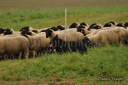 AAH Bundeshüten 2017 / Bild 249 von 352 / 10.09.2017 11:20 / DSC_4414.JPG