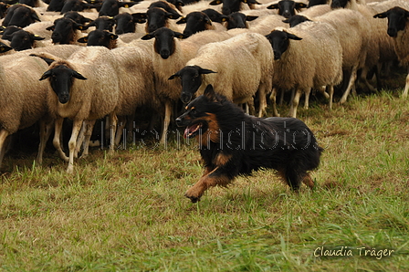 AAH Bundeshüten 2017 / Bild 250 von 352 / 10.09.2017 11:21 / DSC_4418.JPG