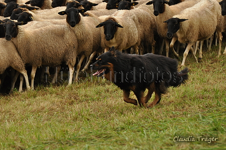 AAH Bundeshüten 2017 / Bild 251 von 352 / 10.09.2017 11:21 / DSC_4419.JPG