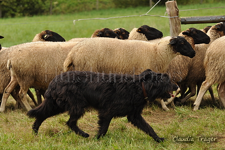 AAH Bundeshüten 2017 / Bild 284 von 352 / 10.09.2017 13:39 / DSC_4869.JPG